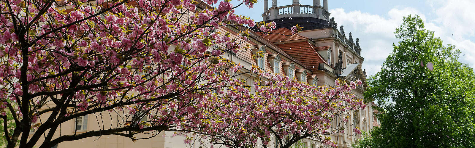 Großes Militärwaisenhaus Potsdam ,
        
    

        
        
            Foto: André Stiebitz