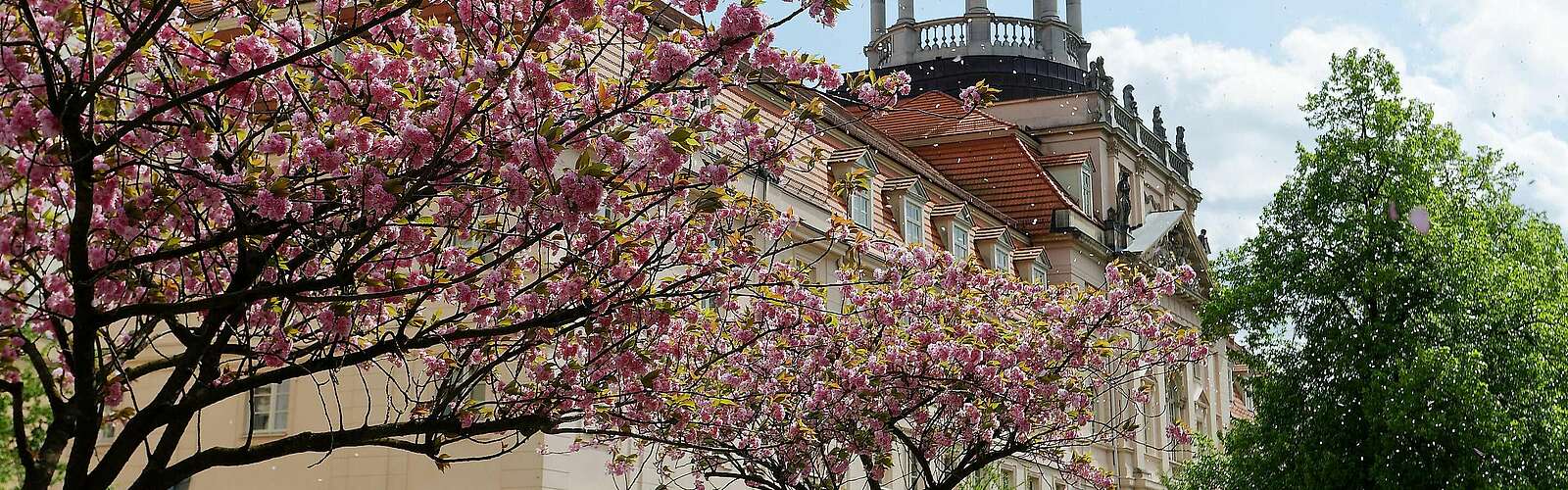 Großes Militärwaisenhaus Potsdam,
            
        
                
                
                    Foto: André Stiebitz